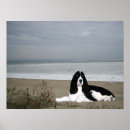 Search for english springer spaniel gifts Dog