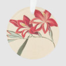 Search for corn christmas tree decorations Red