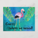 Search for flamingo moving announcement cards Florida