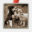 Search for sheep christmas tree decorations Baby