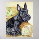 Search for scottish terrier posters Canine