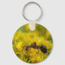 Search for emmet key rings Bugs