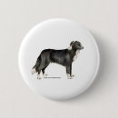 Search for border collie badges Herding
