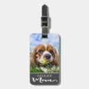 Search for cavalier king charles spaniel accessories Animal