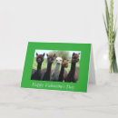 Search for alpaca valentines day cards Animal