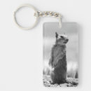 Search for white squirrel key rings Black and white