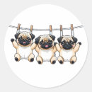 Search for pug puppy stickers Funny