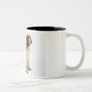 Search for great dane puppy mugs Animal