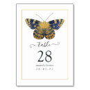 Search for navy and gold table cards Blue