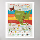 Search for migrating posters Butterfly