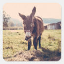 Search for cute donkeys stickers Mule