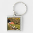 Search for red barn key rings Usa