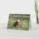 Search for longhorns Texas longhorn