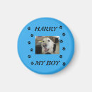 Search for print magnets Dog