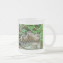 Search for groundhogs mugs Wildlife