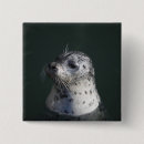 Search for whiskers badges Animal