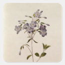 Search for pierre joseph redoute stickers Flowers