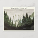 Search for evergreen postcards Forest