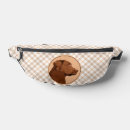 Search for chocolate lab bags Dog