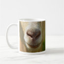 Search for snout mugs Face