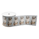 Search for australian shepherd ribbon Dogs