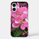 Search for crab photography Pink