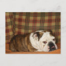 Search for sofa postcards Sitting