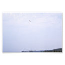 Search for flying cloud posters Nature