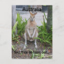 Search for native australian postcards Kangaroo