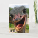 Search for funny 30 birthday cards Animal