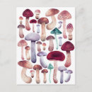 Search for wild mushrooms postcards Botanical