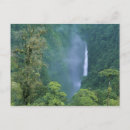 Search for rain forest horizontal postcards Scenic
