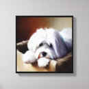 Search for coton de tulear gifts Portrait