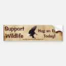 Search for bald eagles bumper stickers Birds of prey