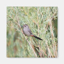 Search for birdwatcher magnets Birding