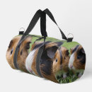 Search for guinea pig bags Rodent