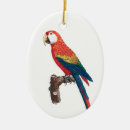 Search for green parrot christmas tree decorations Bird