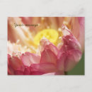 Search for innocence horizontal postcards Nature