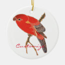 Search for birds of paradise christmas tree decorations Wildlife