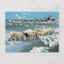 Search for interaction postcards Wildlife