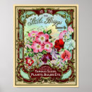 Search for vintage seed catalogues posters Flowers