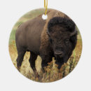 Search for grassland christmas tree decorations Wildlife
