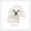 Search for maltese dog stickers Pet