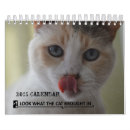 Search for cat calendars Charity