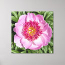 Search for peony canvas prints Pink