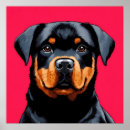 Search for cute rottweiler posters Illustration