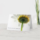 Search for daisy blank cards Flower