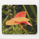 Search for ecology electronics Colour
