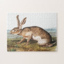 Search for hare puzzles Wildlife