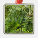 Search for brazil christmas tree decorations green